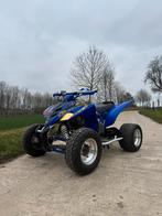 Quad Raptor 350cc, Motoren, 12 t/m 35 kW, 350 cc, 1 cilinder