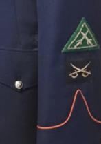 ZOEK wapenmeester- en commando-patches, Verzenden, Overige soorten, Embleem of Badge