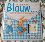 Nieuw invulboek "Surprise in blauw- Baby's eerste levensjaar, Ophalen, Nieuw, 0 tot 6 maanden