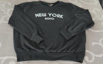 Pull JBC - 13/14 ans, Enlèvement ou Envoi, JBC, Pull ou Veste