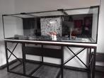 aquarium récifal marin 1000l   Delfish avec décante, Dieren en Toebehoren, Ophalen, Zo goed als nieuw, Leeg aquarium