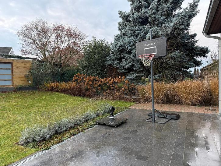 GRATIS terras BELGISCH BLAUWE STEEN 5 cm dik 50m2, Jardin & Terrasse, Pavé & Dalles, Utilisé, Pierre naturelle, 10 m²² ou plus