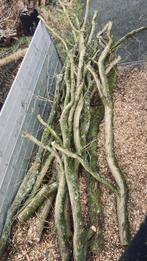 Takken eik voor in volière of ander knutselproject., Ophalen, Hout, Volière