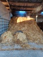 fumier de cheval à donner, Tuin en Terras, Aarde en Mest, Mest