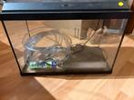 Complete aquarium van juwel met toebehoren, Dieren en Toebehoren, Ophalen, Zo goed als nieuw