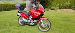 Honda transalp 650, Motos, Motos | Honda, 4 cylindres, Particulier, Tourisme, Plus de 35 kW
