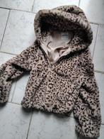 Veste breshka, Ophalen, Nieuw