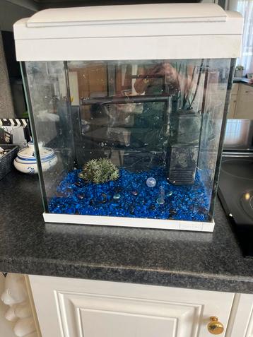 Aquarium 30 L met pomp,verlichting in en steentjes, Enlèvement, Comme neuf