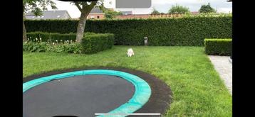 Trampoline Kadee 360, Kinderen en Baby's, Speelgoed | Buiten | Trampolines, Ophalen, Gebruikt
