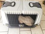 Bench Ferplast Transportbox voor Honden Atlas:  98cm x 60cm, Dieren en Toebehoren, Ophalen, Gebruikt