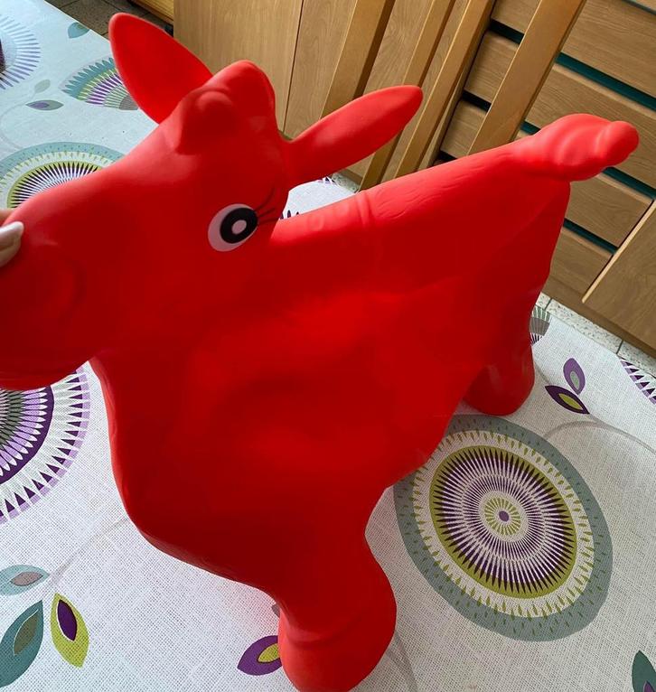 Cheval gonflable sauteur avec pompe à main, Enfants & Bébés, Jouets | Extérieur | Jouets en vrac