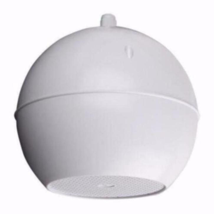 100 Volt 10 Watt Hangende Plafond Speaker DAP SS-105,, Audio, Tv en Foto, Luidsprekerboxen, Nieuw, Overige typen, Ophalen of Verzenden