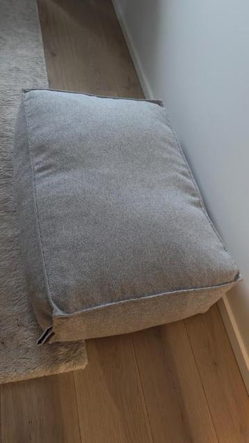 panier chien fantail beschikbaar voor biedingen