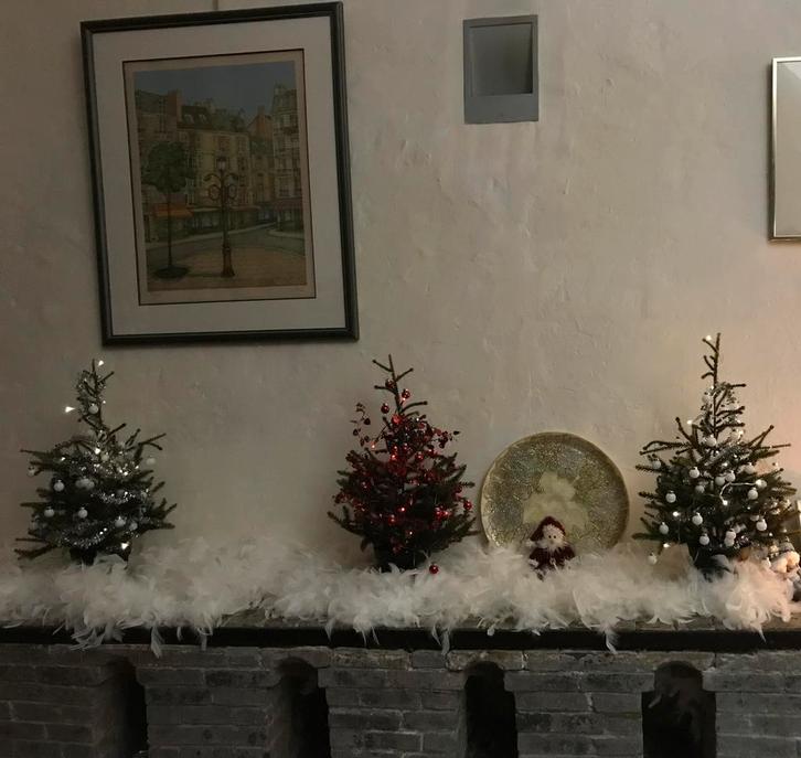 Lot de décoration de Noël, Divers, Noël, Enlèvement