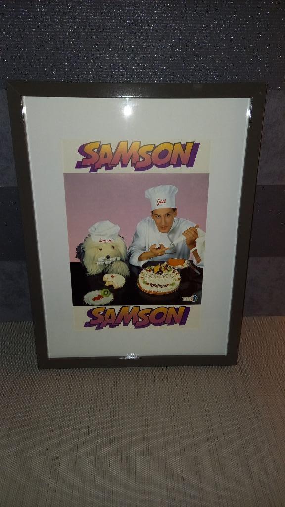 cadre Samson, Collections, Cinéma & Télévision, Utilisé, TV, Enlèvement ou Envoi