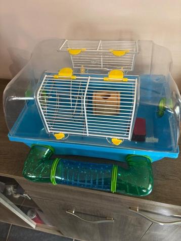 Mooi volledig Hamster kotje beschikbaar voor biedingen