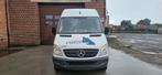Mercedes 313cdi euro5, Euro 5, Mercedes-Benz, Bedrijf, Diesel