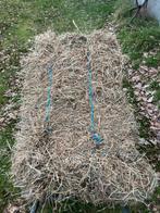 Droog 1 ste snede hooi , prima voor paarden., Pâturage