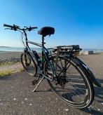 Custom pegasus E-bike, extreem snel!, Overige merken, Ophalen of Verzenden, Zo goed als nieuw, 50 km per accu of meer