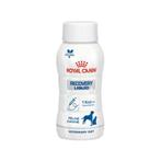 Royal Canin recovery chat/chien 200ml, Hond, Ophalen of Verzenden