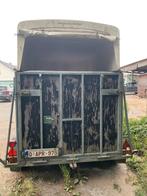 Paardentrailer te koop, Ophalen, Gebruikt, Polyester, 2-paards trailer