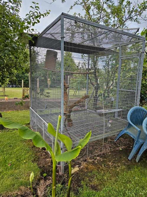 Grote papegaaien voliëre, Animaux & Accessoires, Oiseaux | Cages & Volières, Comme neuf, Synthétique, Enlèvement