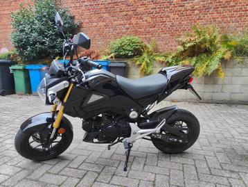 Honda MSX 125 slechts 4600KM beschikbaar voor biedingen