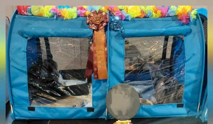 Stoere showkooi voor katten, Dieren en Toebehoren, Katten-accessoires, Ophalen of Verzenden