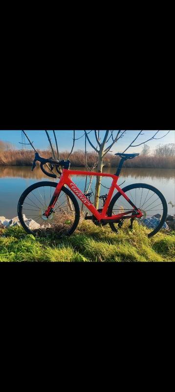 Willier Cento 10SL beschikbaar voor biedingen