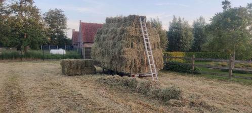 hooi & voordroog, Zakelijke goederen, Landbouw | Veevoer, Ophalen