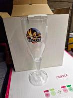 6 BRIGAND BIERGLAZEN  BROUWERIJ VAN HONSEBROUCK INGELMUNSTER, Ophalen of Verzenden, Nieuw, Bierglas