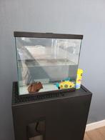 Aquarium met spullen +vissen, Dieren en Toebehoren, Ophalen