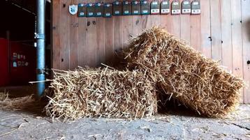 Kleine balen stro  beschikbaar voor biedingen