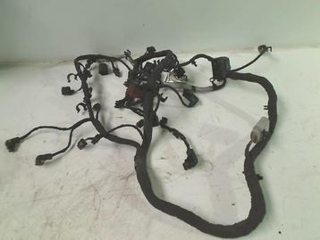 KABELBOOM MOTOR Volkswagen Golf VIII (CD1) (05c972610) beschikbaar voor biedingen
