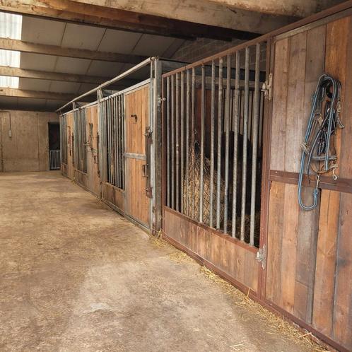 Volpension paarden, Dieren en Toebehoren, Stalling en Weidegang, Weidegang