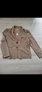 Nieuw! Doe een bod, Kleding | Dames, Jasjes, Kostuums en Pakken, Kostuum of Pak, Bruin, Maat 46/48 (XL) of groter, Nieuw