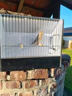 Groenvink man split satinet