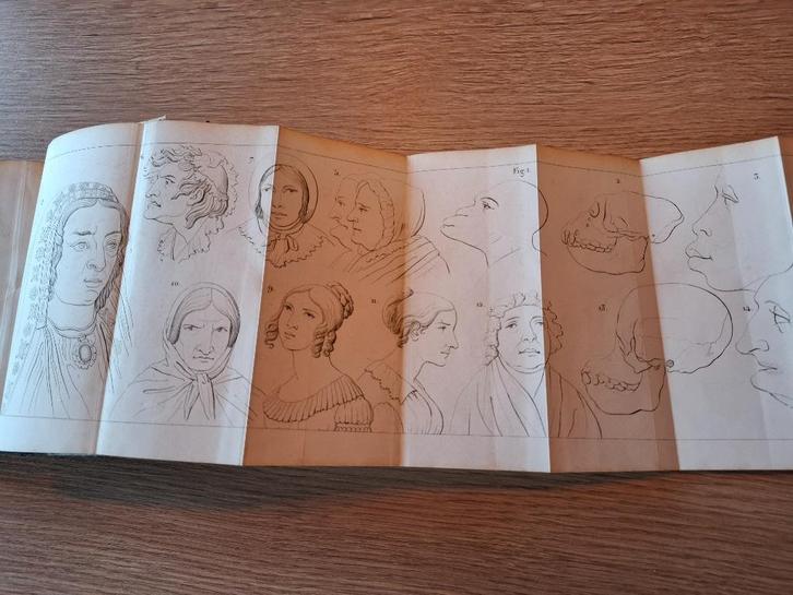 Roret Physionomiste des dames - 1843 - Manuels-Roret, Antiek en Kunst, Antiek | Boeken en Manuscripten, Ophalen of Verzenden