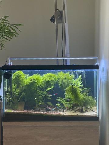 Javamos beschikbaar voor biedingen