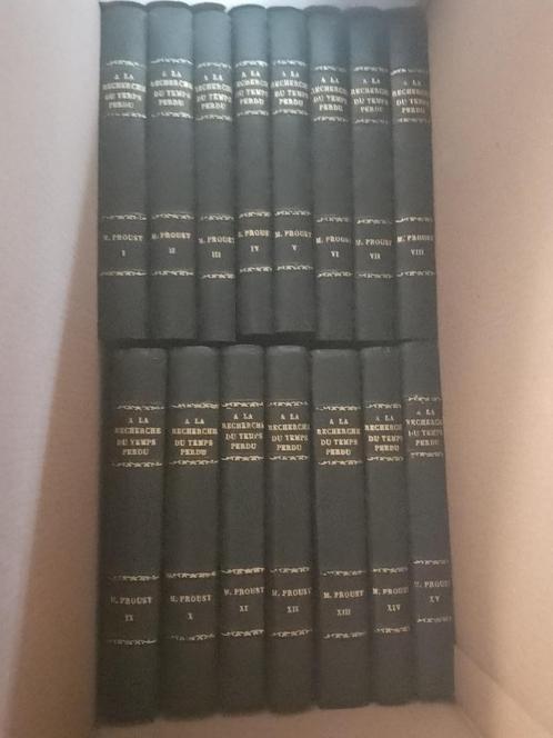 À la recherche du temps perdu, Marcel Proust, (15 volumes), Livres, Biographies, Comme neuf, Autre, Enlèvement