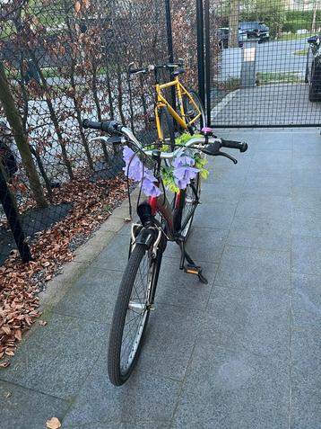 Nette damesfiets in goede staat – direct klaar voor gebruik! beschikbaar voor biedingen