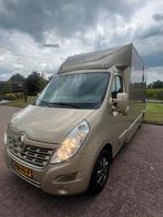 Chique Renault paardencamionette, 2022! Winnaarskleur!, Dieren en Toebehoren, Ophalen, Zo goed als nieuw, Aluminium