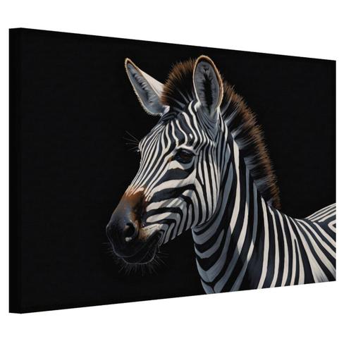 Portret zebra canvas 60x40cm - 18mm., Antiek en Kunst, Kunst | Schilderijen | Modern, Verzenden