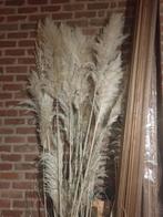 Pampasgras pampas gras decoratieve pluimen, Huis en Inrichting, Woonaccessoires | Droogbloemen, Zo goed als nieuw, Ophalen