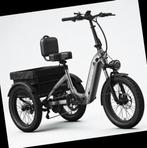 Ebike Trike . 3 wieler cargo bike transport, Fietsen en Brommers, Zo goed als nieuw, 47 tot 51 cm, 50 km per accu of meer, Ophalen