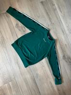 Champion Sweatshirt met ronde hals in groen, Ophalen of Verzenden, Zo goed als nieuw
