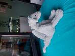 Jellycat draak, Ophalen, Nieuw
