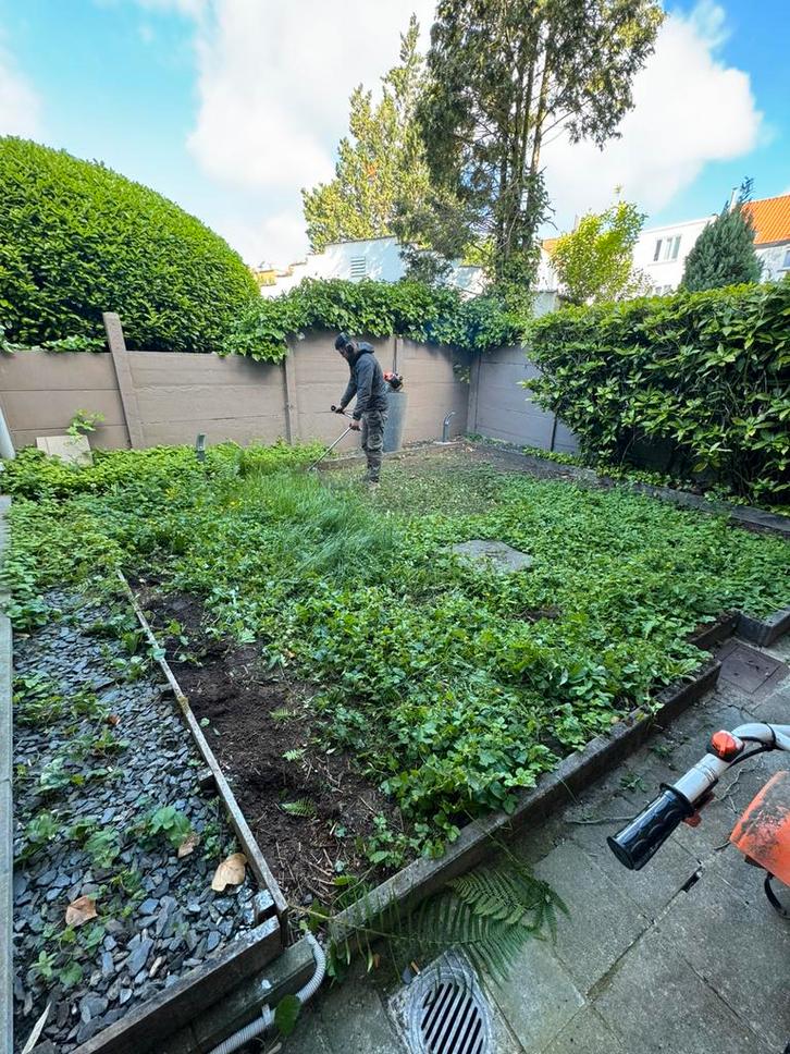 Jardín, Tuin en Terras, Gras en Kunstgras, Kunstgras, Ophalen of Verzenden