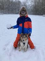 jongens ski jas 10 jaar 29 ft (maat 140 146), Kinderen en Baby's, Ophalen, Dare2be, Zo goed als nieuw, Jongen