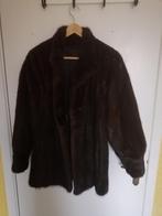 Veste en vison brun, Sans marque, Envoi, Porté, Brun